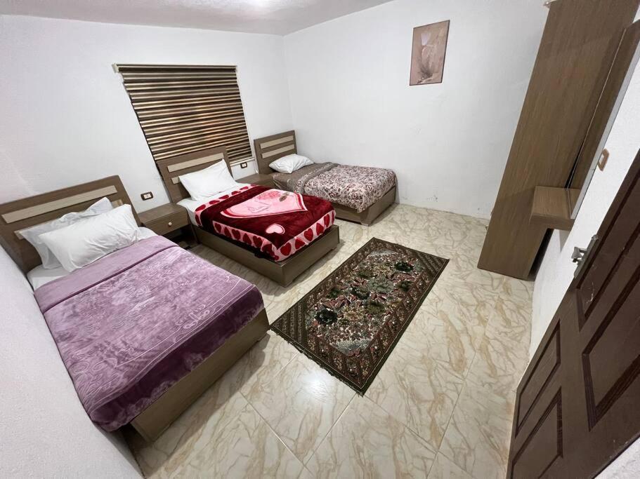 Z3 Apartment Wadi Musa Extérieur photo