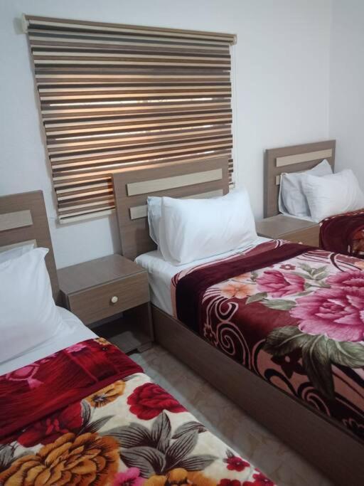 Z3 Apartment Wadi Musa Extérieur photo