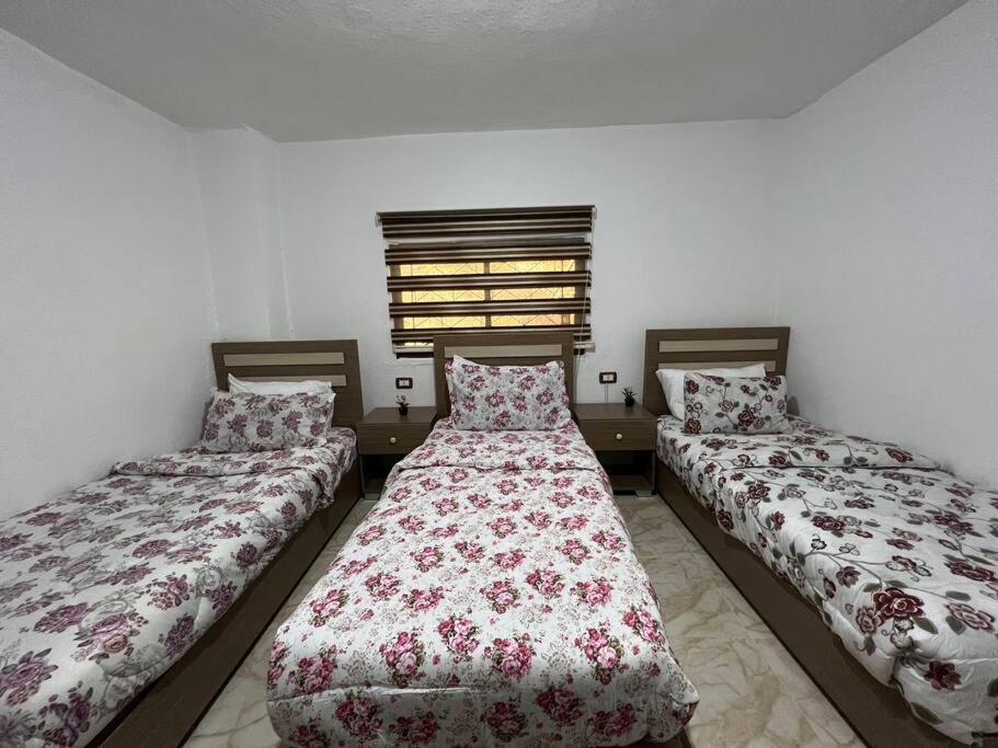Z3 Apartment Wadi Musa Extérieur photo