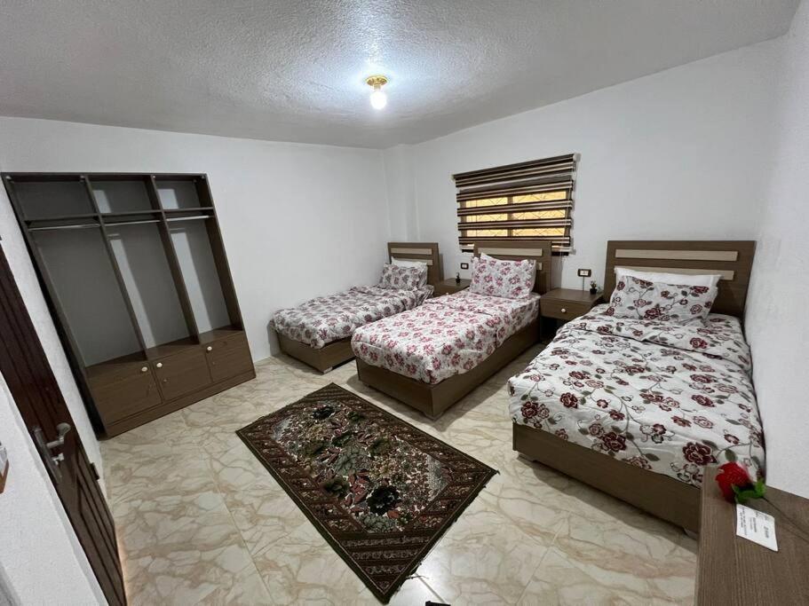 Z3 Apartment Wadi Musa Extérieur photo