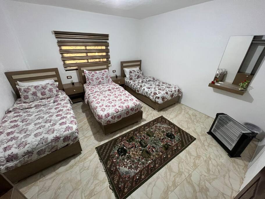 Z3 Apartment Wadi Musa Extérieur photo