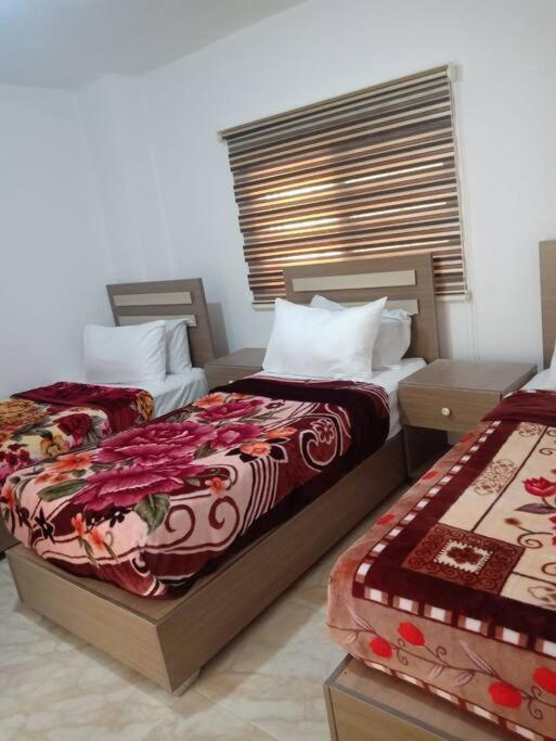Z3 Apartment Wadi Musa Extérieur photo
