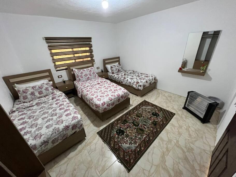 Z3 Apartment Wadi Musa Extérieur photo